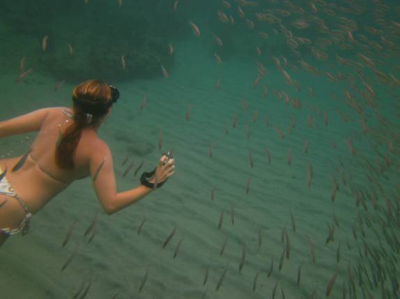 Snorkel em meio a cardume na praia de Chastanet, em Soufriere, sul de Santa Lúcia